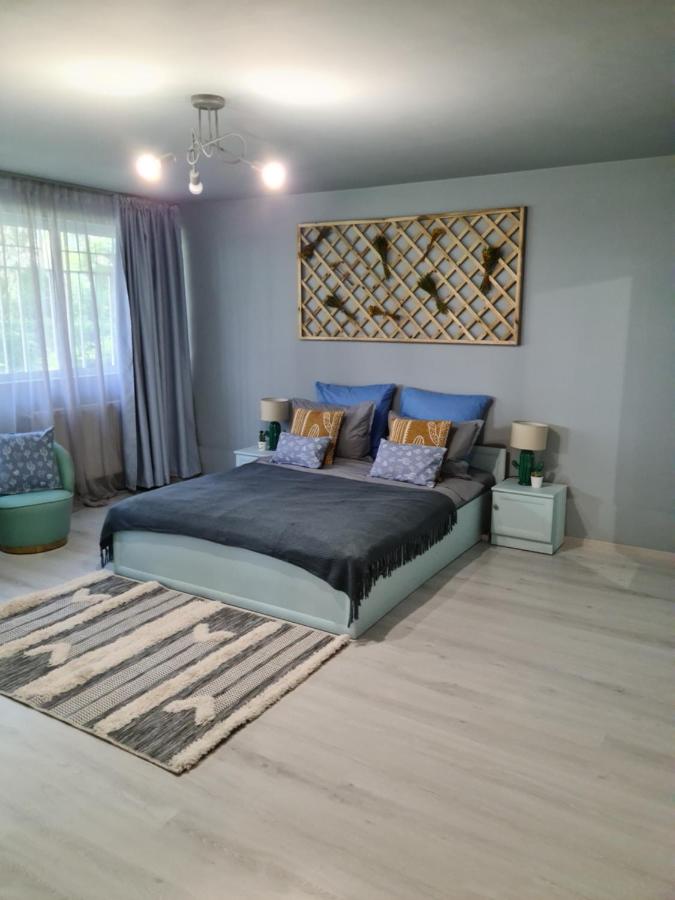 Zorilor Cactus Apartment - Ferienwohnung Klausenburg