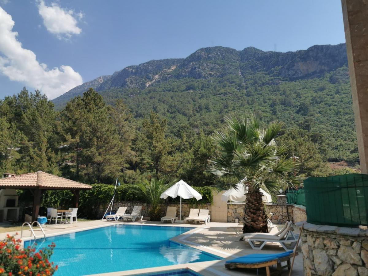 Villa Beatrice Large family villa - B&B Fethiye