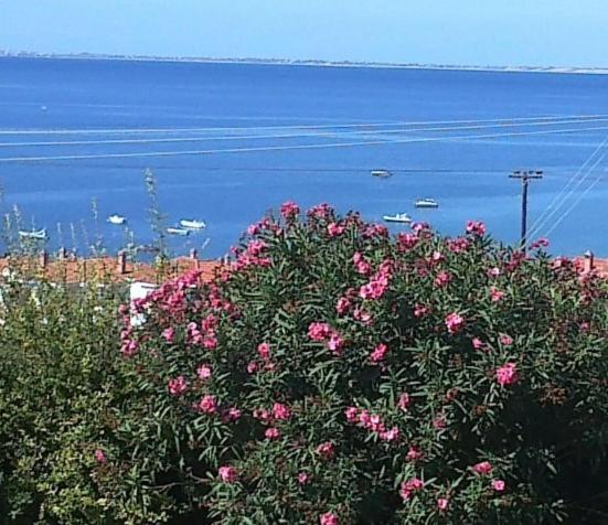 Appartement 2 Chambres