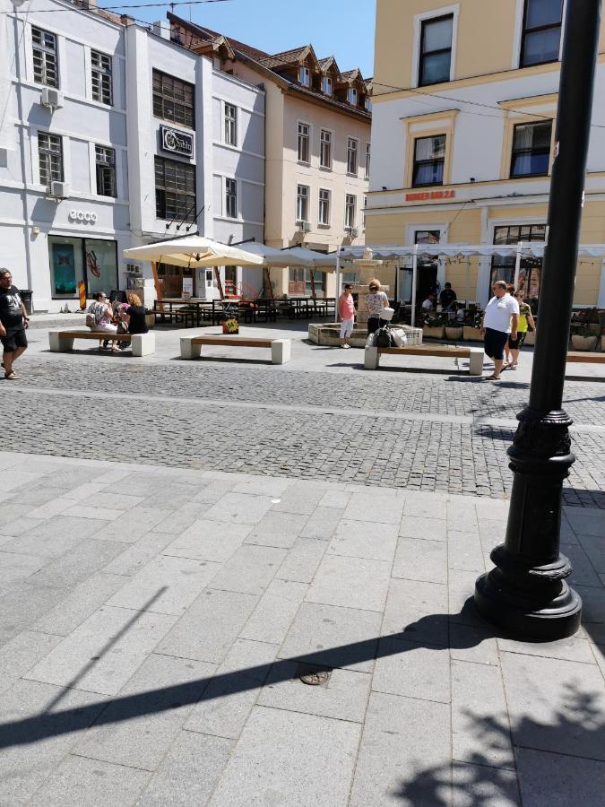 Smart studio sibiu - B&B