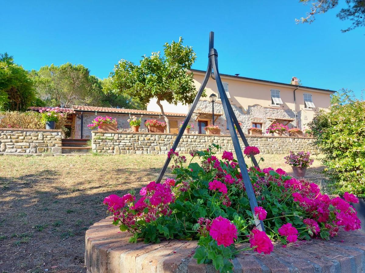 Agriturismo Mezzo Poggio Suvereto - B&B
