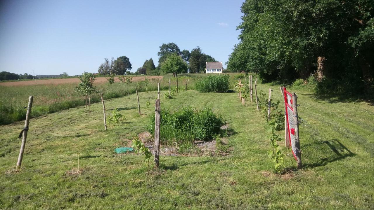 Le Clos Doré Parc - B&B Bains-sur-Oust