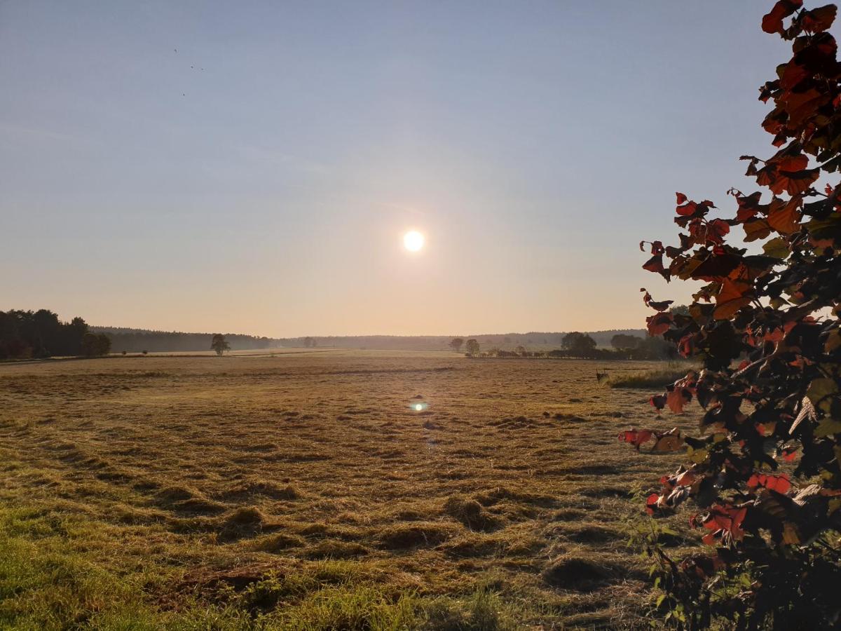 Pension Auetal - B&B Döhle