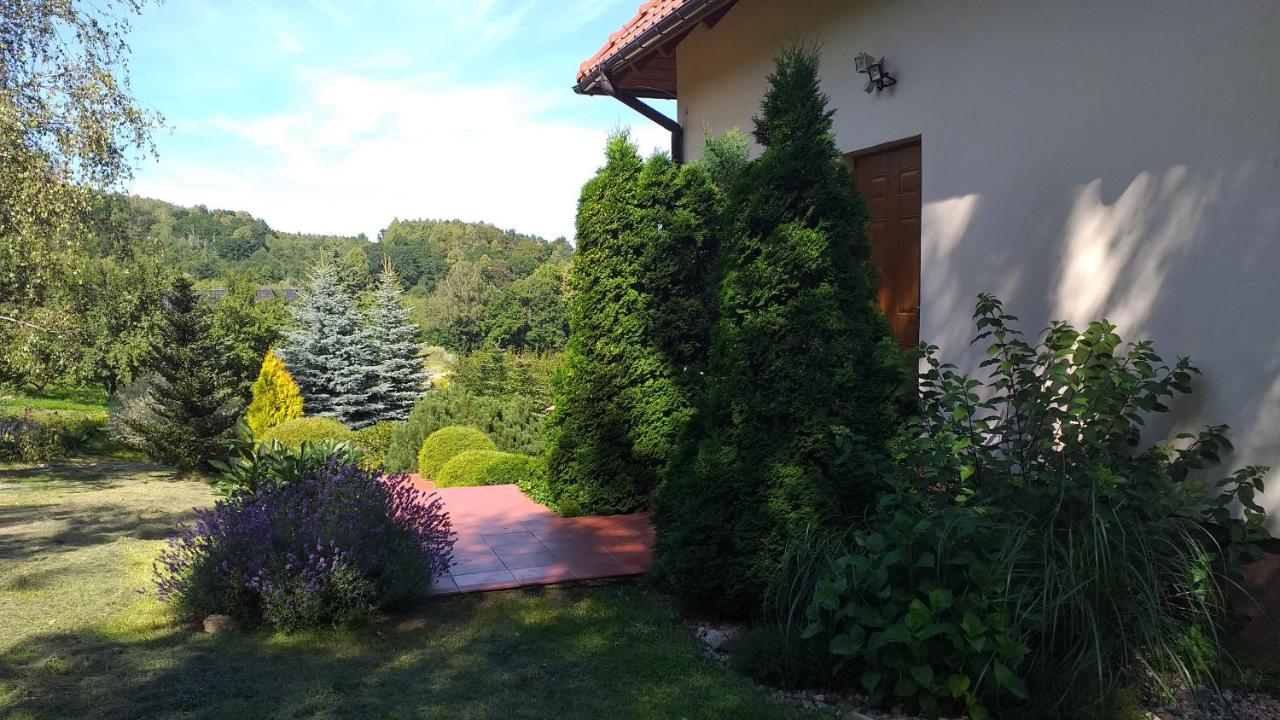 Przytulne Studio Borówkowy Zagajnik - Ferienwohnung Petersdorf