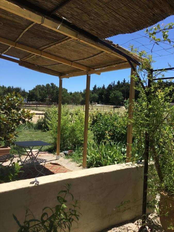 Le jardin du Castillon - B&B