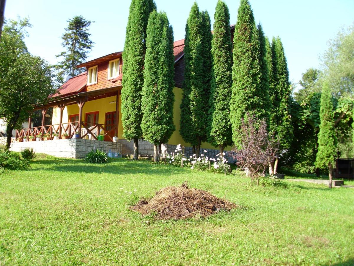 B&B Cărbunari - Vila Roseta - Bed and Breakfast Cărbunari