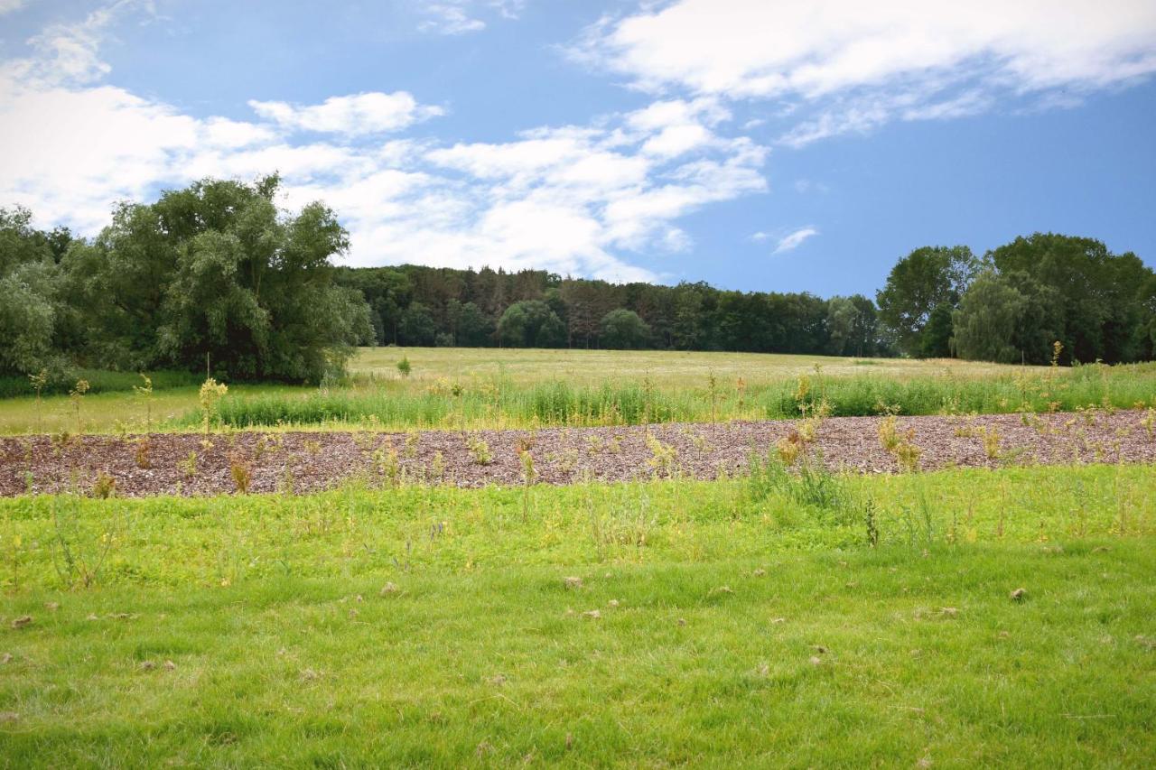 Reetidyll am Haff - B&B