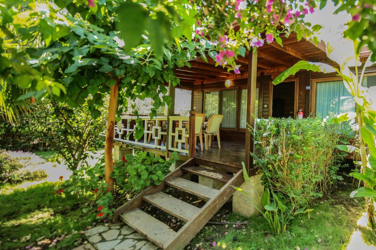 Villa Zeytin - B&B Çıralı