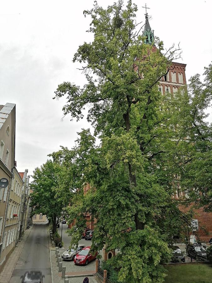 Staszica Starówka - B&B