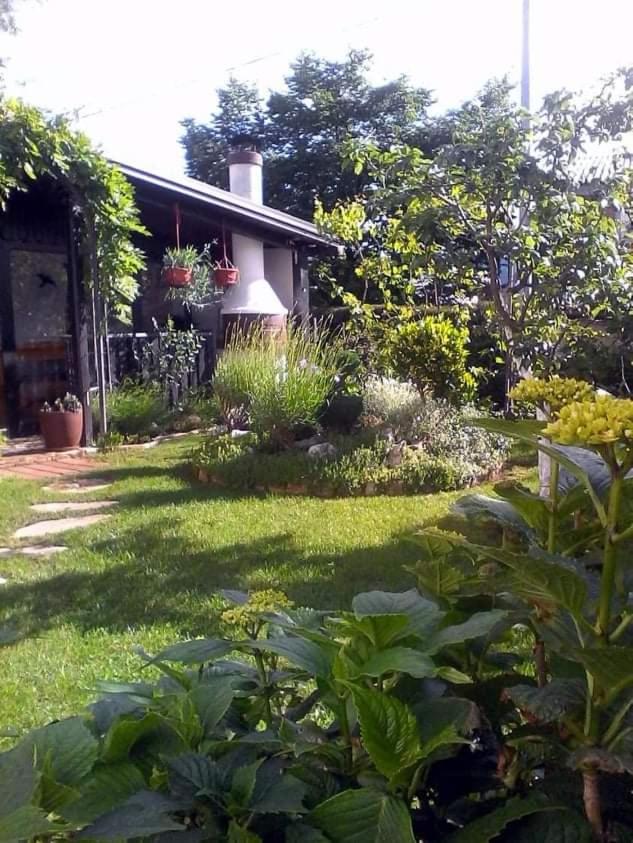 Sobe Randelj - B&B Čavle