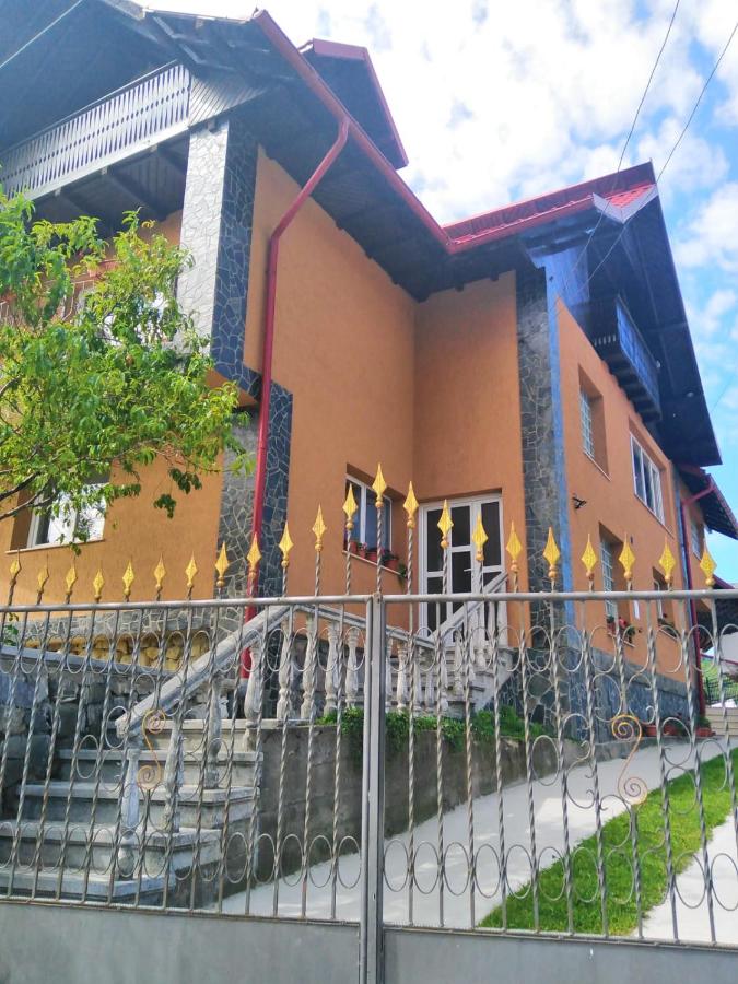 Casa Diana-Maria - Ferienwohnung Curtea de Argeş