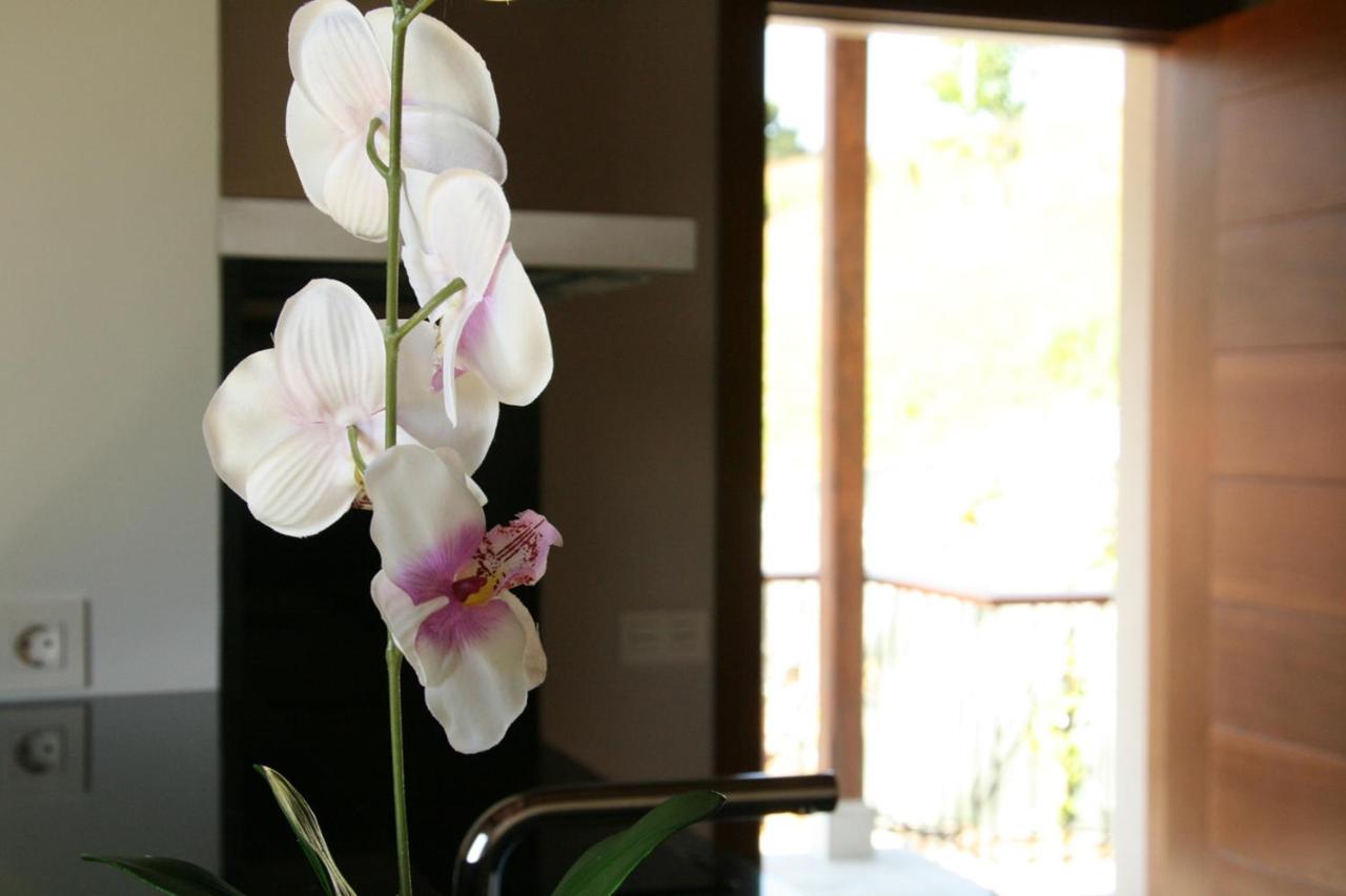 Apartamento - Planta baja