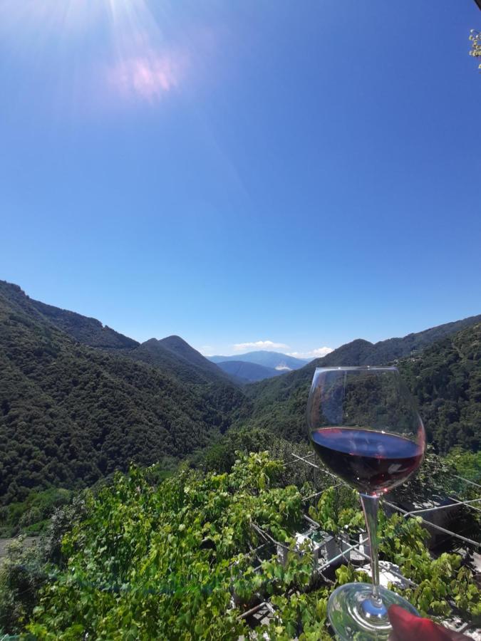 B&B La Locanda del Cinghiale - B&B Aurano