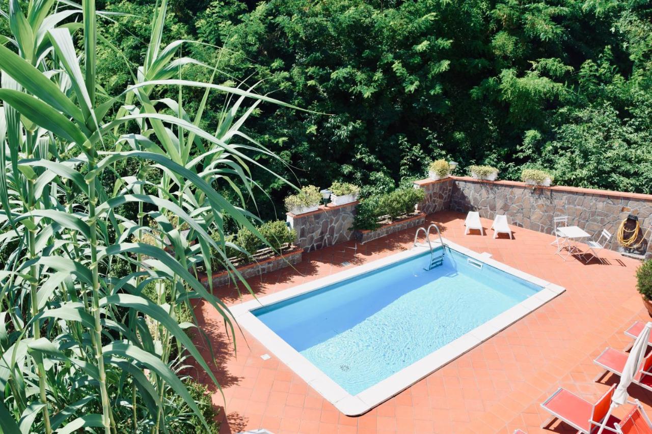 B&B Tramonti - Campinola Holiday Home PRIVATE POOL - Bed and Breakfast Tramonti