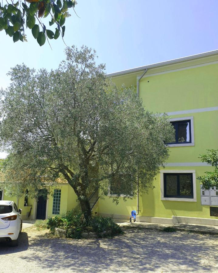 Apartment mit Gartenblick