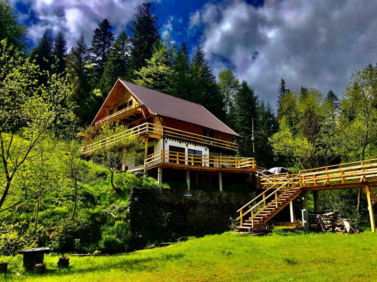 Cabana Cota 1000 Arieseni - B&B