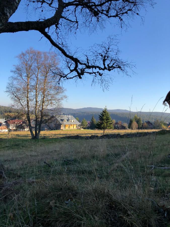 Kvilda Kilián apartmán Javor - B&B
