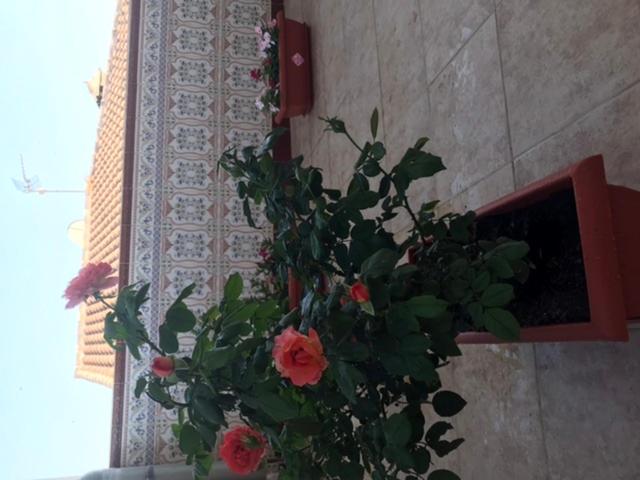 Piso con encanto - B&B Cehegín