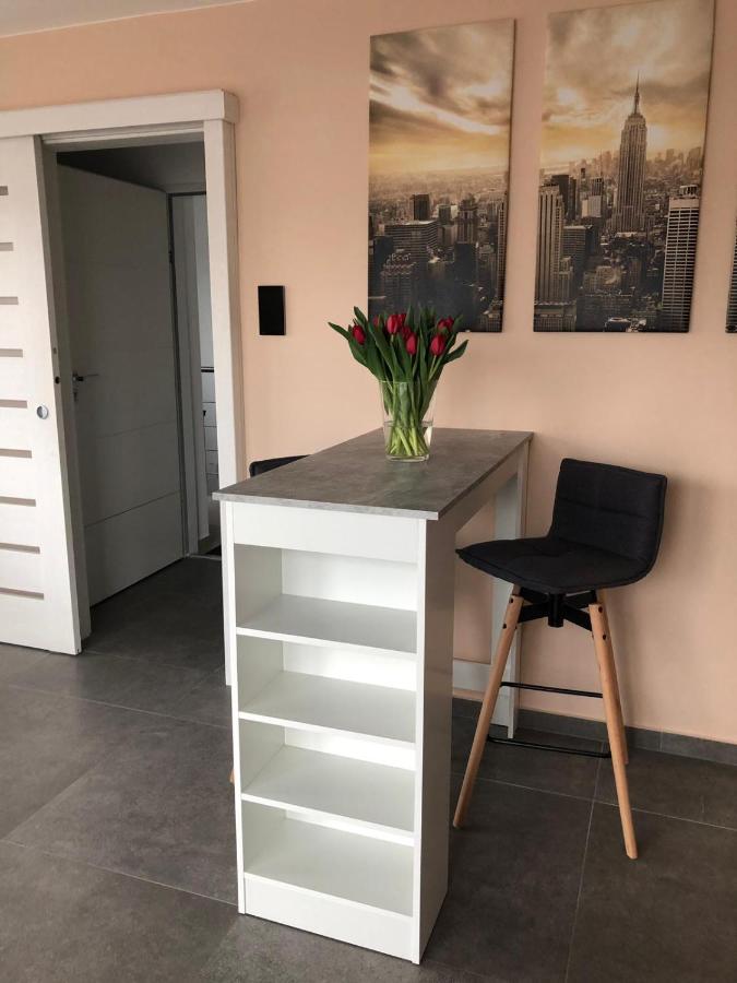 Deluxe One-Bedroom Apartment