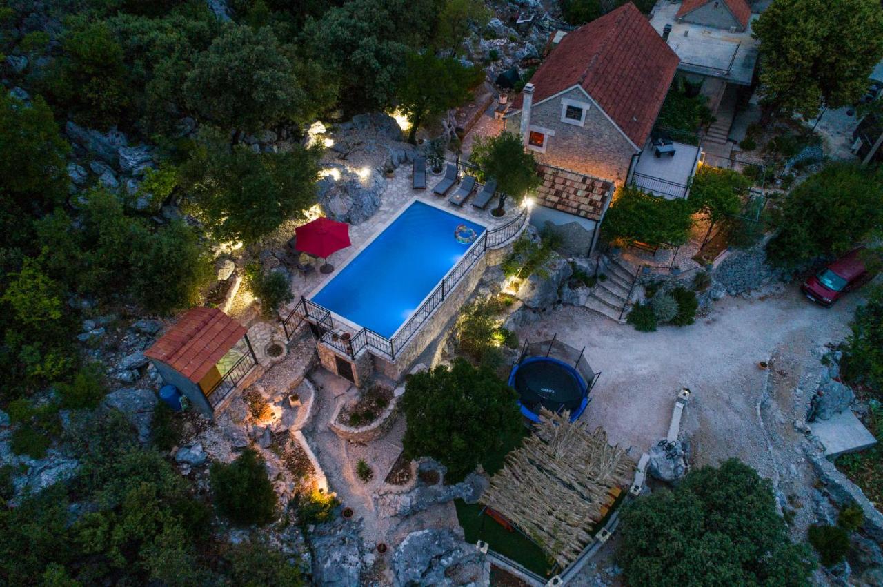 Rural house Janjić - B&B