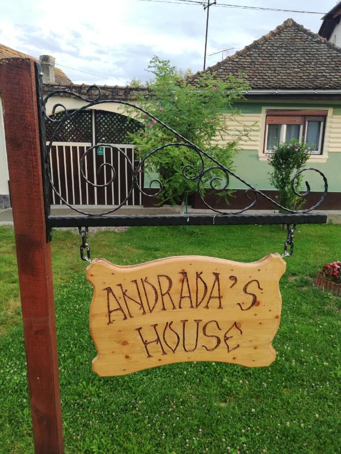Andrada's House Soars - Chambres d’hôtes Şoarş