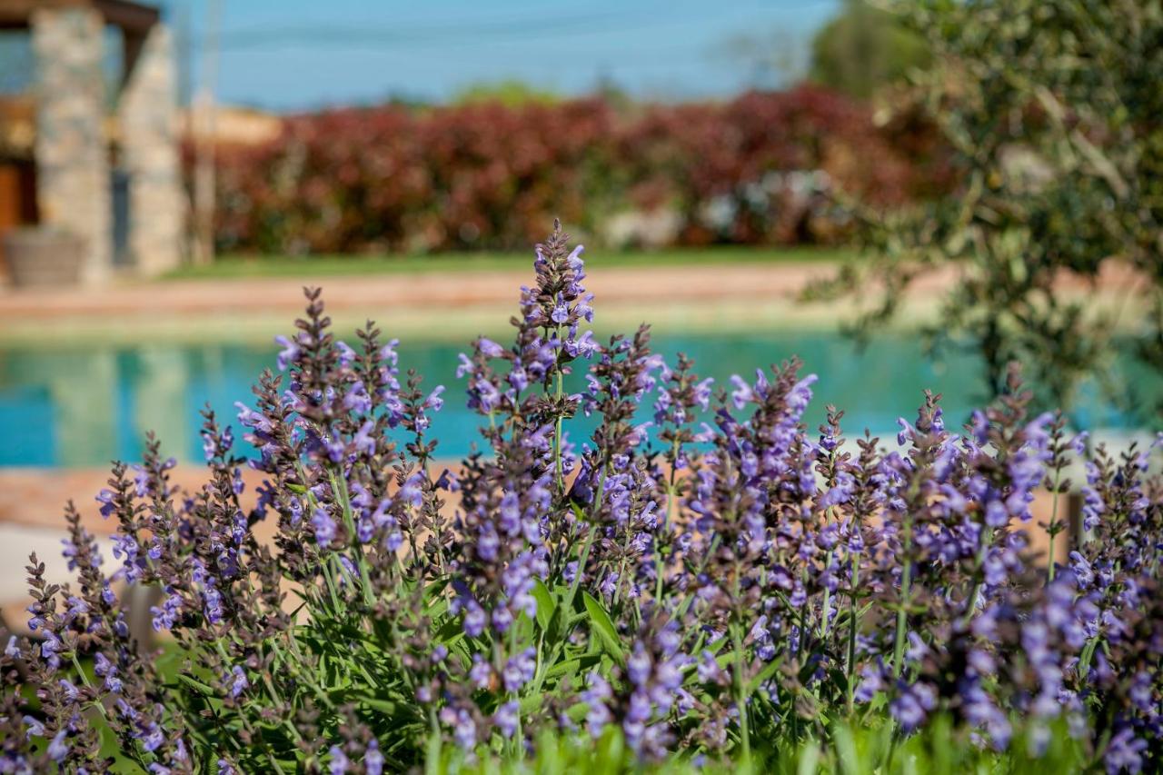 B&B Fontanillas - Mas Vermell - Bed and Breakfast Fontanillas