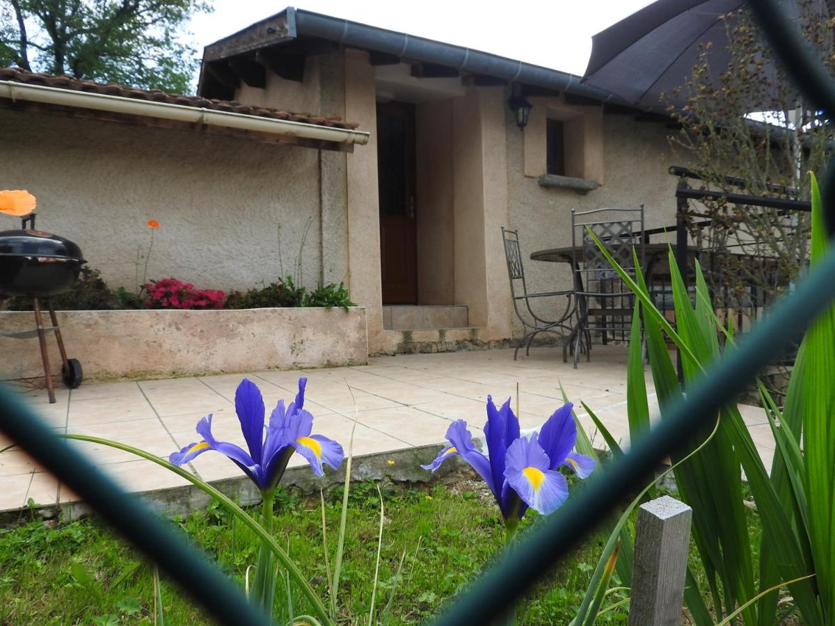 Apartment with Garden View