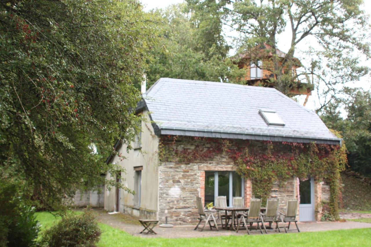 B&B Herbeumont - Le Repere du Cerf - Bed and Breakfast Herbeumont