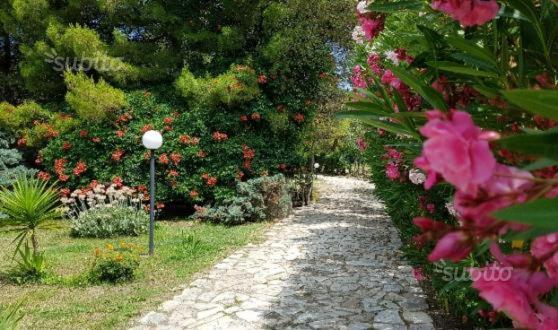 B&B Vieste - Residence Polidoro - Bed and Breakfast Vieste