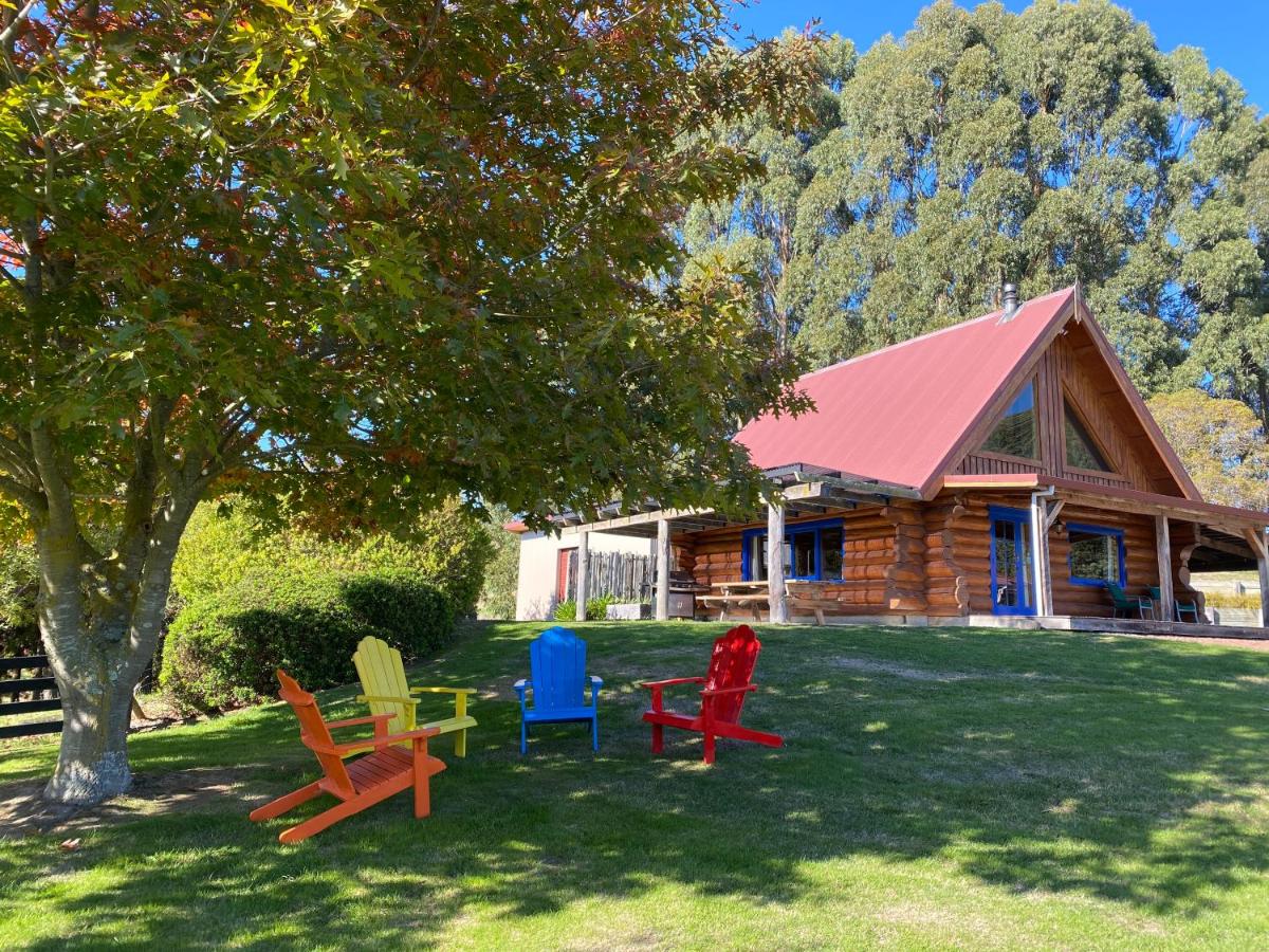 B&B Masterton - Tree Hut Cottage - Bed and Breakfast Masterton