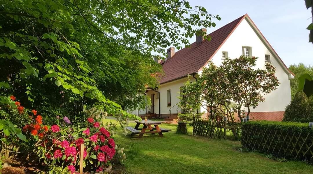 B&B Kłodawa - Agroturystyka Rębowo - Bed and Breakfast Kłodawa