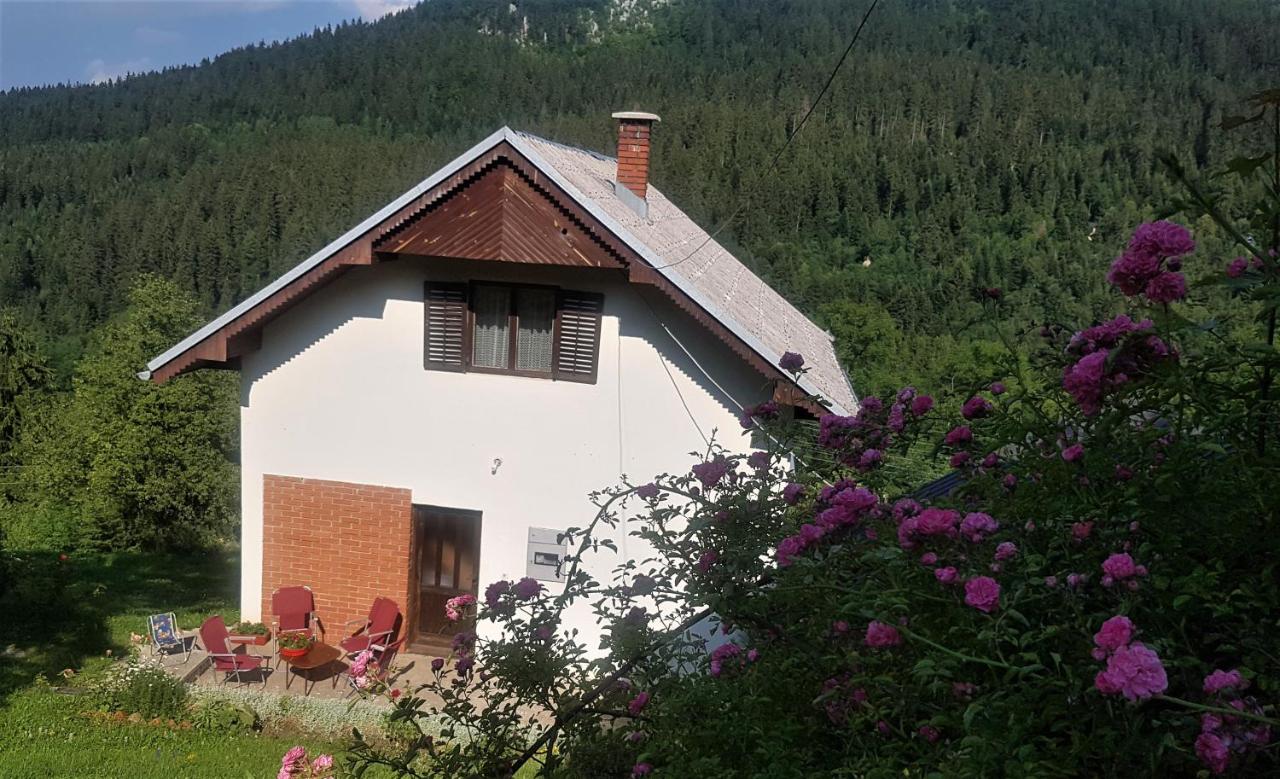 Planinska kuća ,,Furtula" Jahorina - B&B