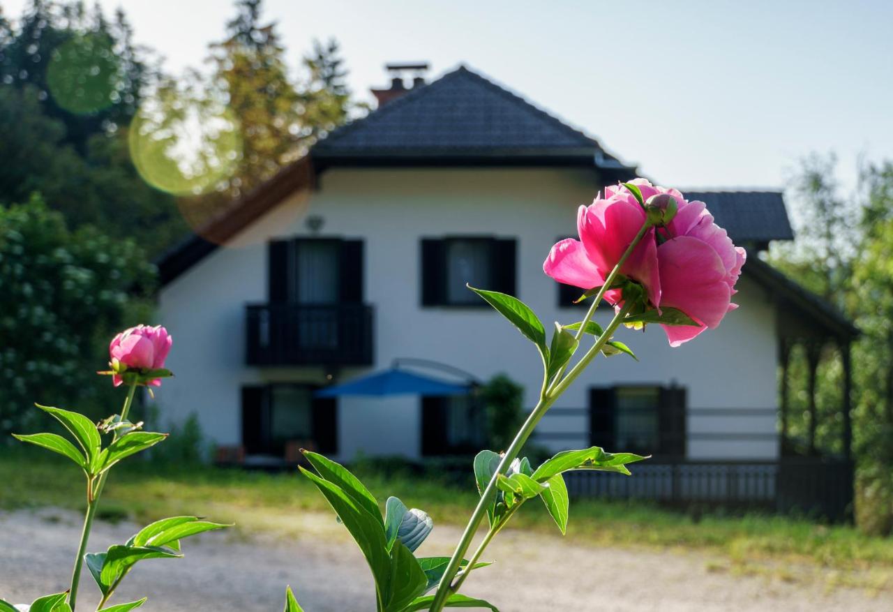 Appartement met Balkon