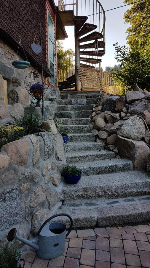 Manu's Ferienwohnung - Ferienwohnung Schluchsee