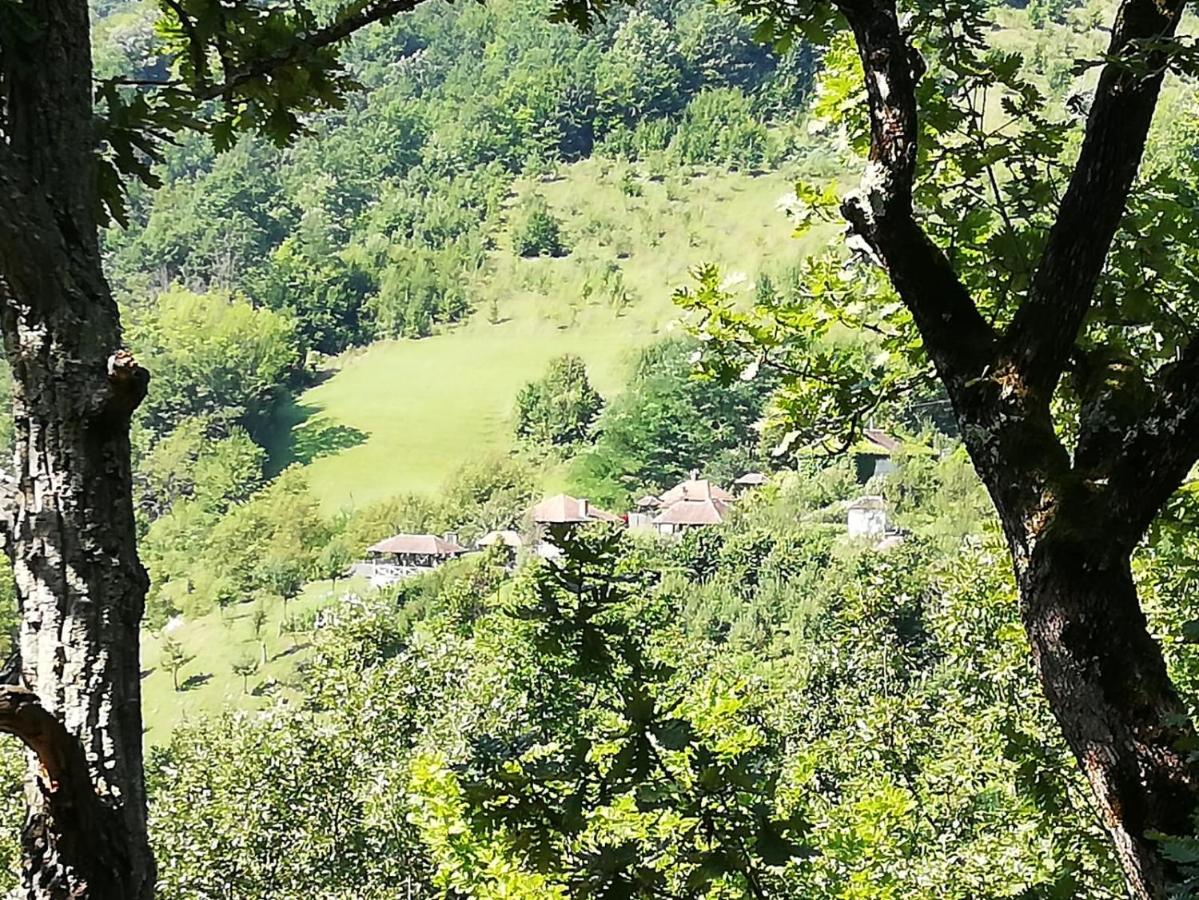 Плави вајат - Bed and Breakfast Gornje Leskovice