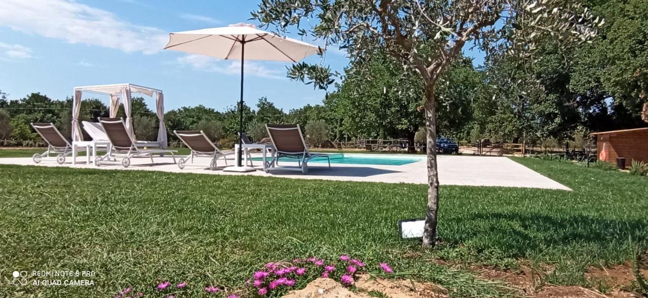 Maremma Country Chic Le Ginestre - B&B