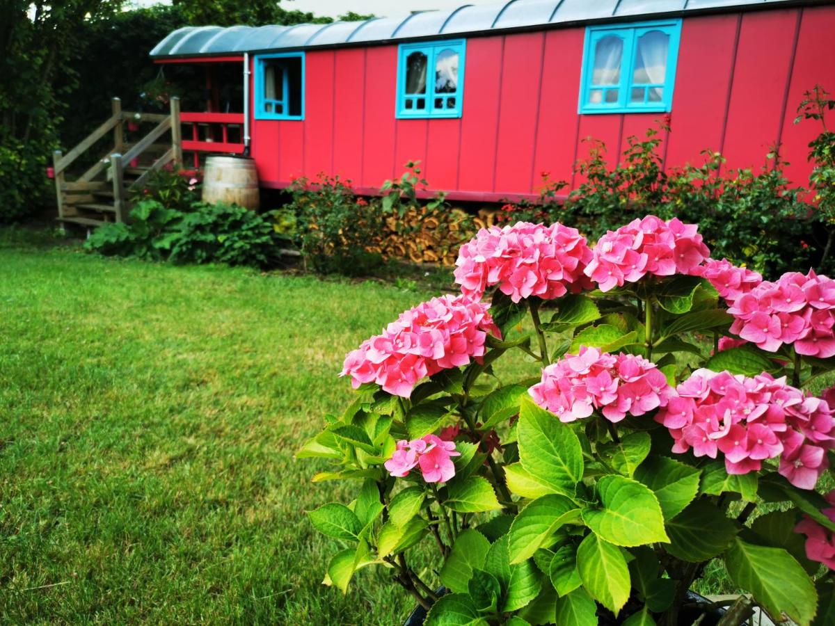 La Maison des Oiseaux. Roulotte - B&B Achicourt