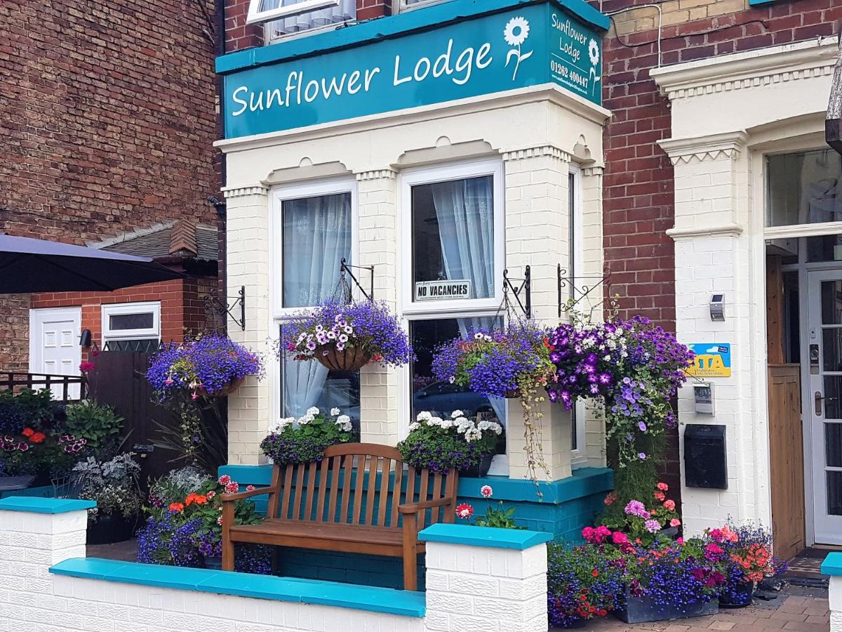 Sunflower Lodge - Chambres d’hôtes