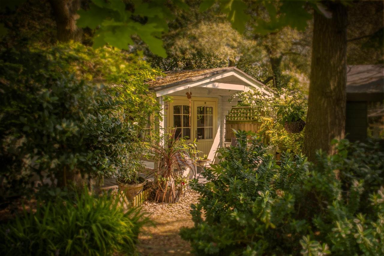 The Red squirrel Chalet