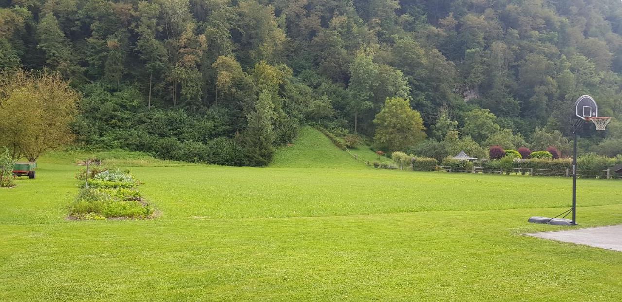 Hiša stare mame - Bed and Breakfast Kamnik