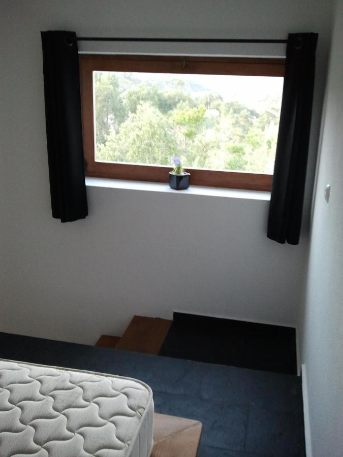 Exclusive Suite