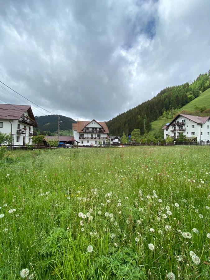Regina Munților - B&B
