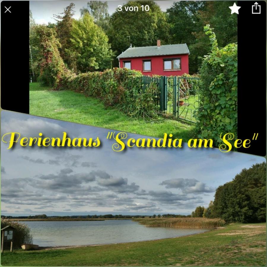 B&B Warnitz - Ferienhaus Scandia am See - Bed and Breakfast Warnitz