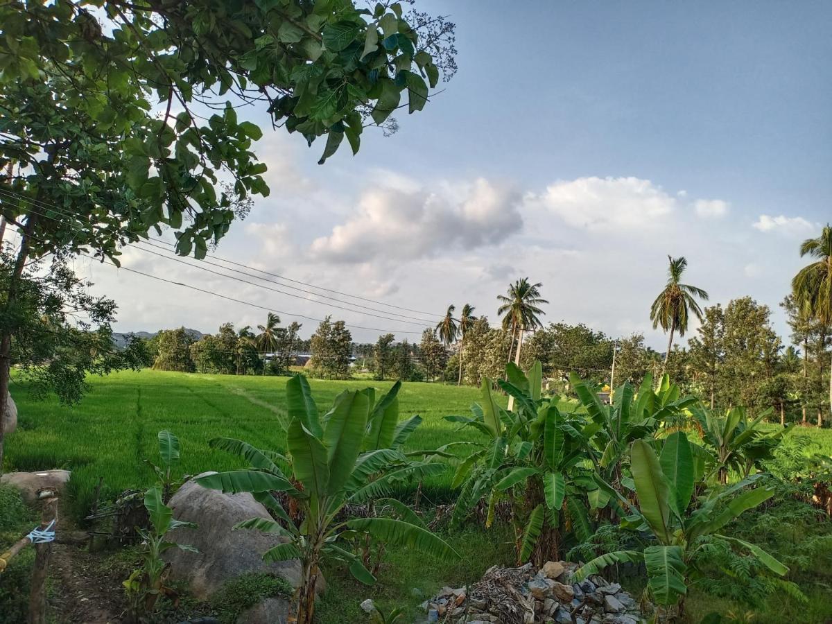 Gopi Plantation Homestay - B&B