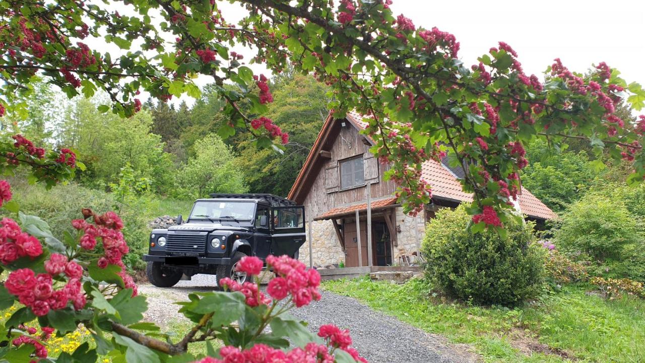 Jagdhaus in der Rhön in völliger Alleinlage - Chambres d’hôtes Gersfeld