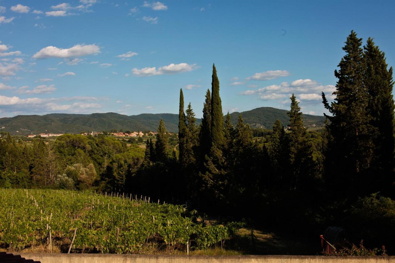 B&B Strada - Apt Alice - Apartment in the Vineyards - Bed and Breakfast Strada