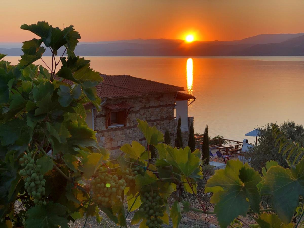 Ammou Area - B&B