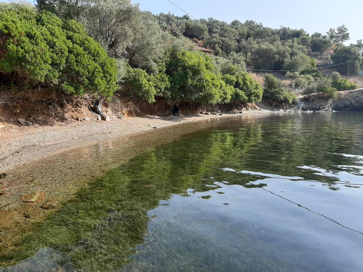 Chiona΄s Apartments by the Sea - Bed and Breakfast Palaió Tríkeri