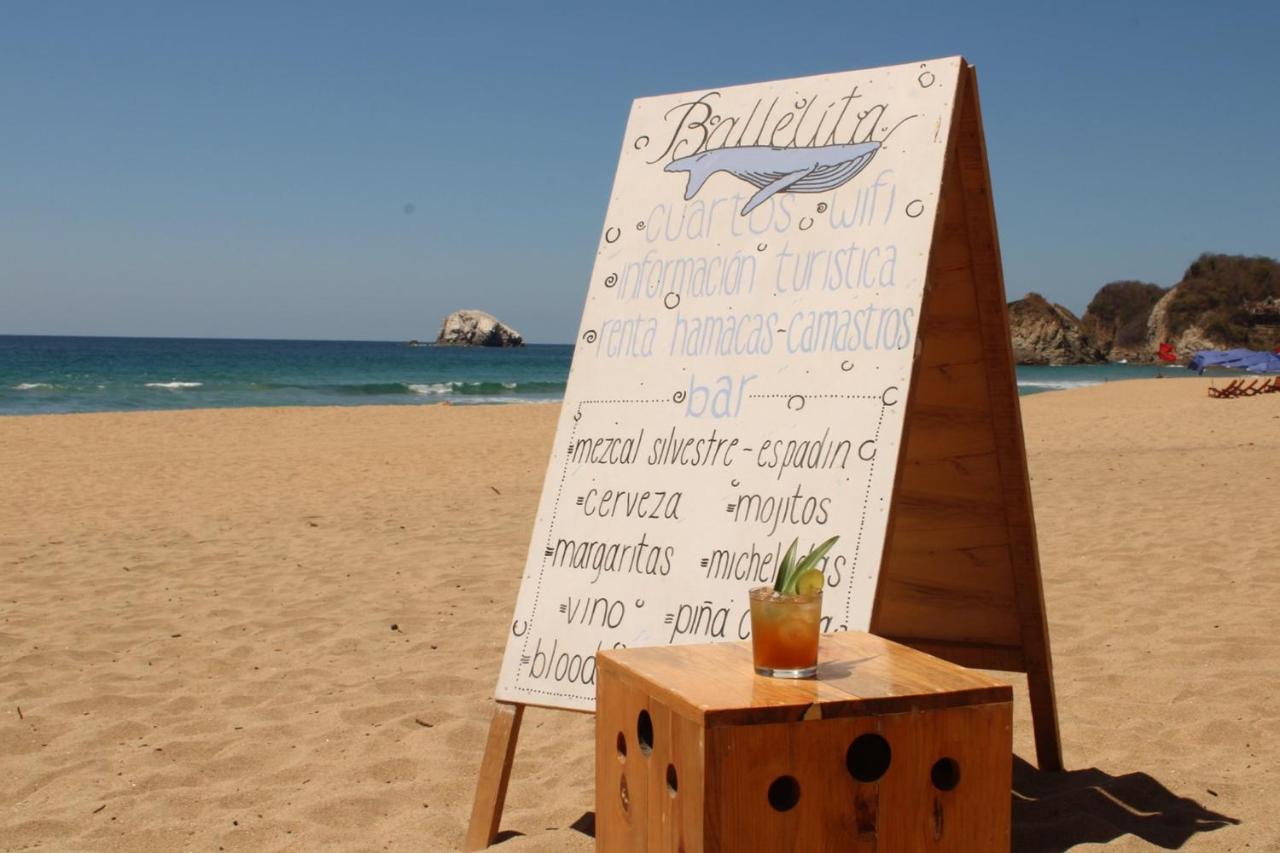 B&B Zipolite - Ballelita - Bed and Breakfast Zipolite