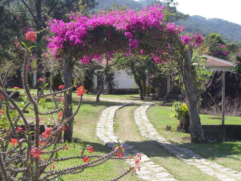 Camera Queen con Vista Giardino